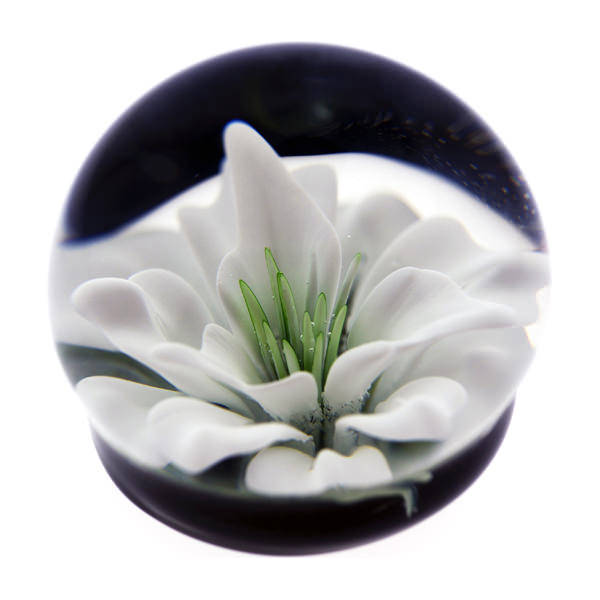 Paperweight - White Flower